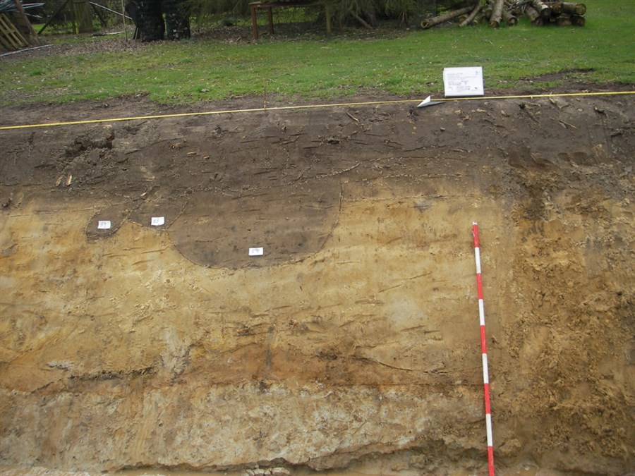 Bericht 3 vragen over de toepassing van archeologie bij de A1 Apeldoorn-Twello bekijken